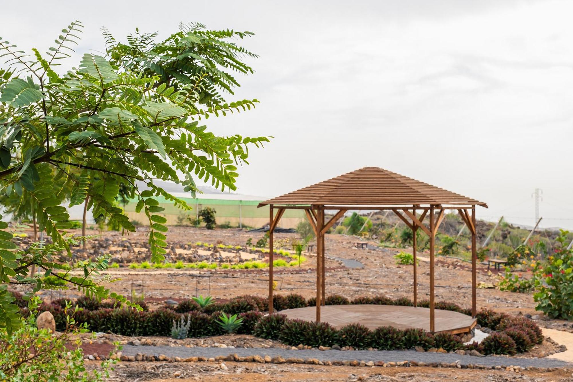 Tenerife Healing Garden Guia de Isora  Ngoại thất bức ảnh