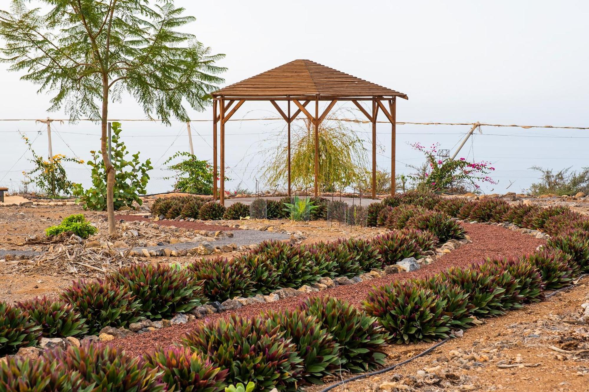 Tenerife Healing Garden Guia de Isora  Ngoại thất bức ảnh