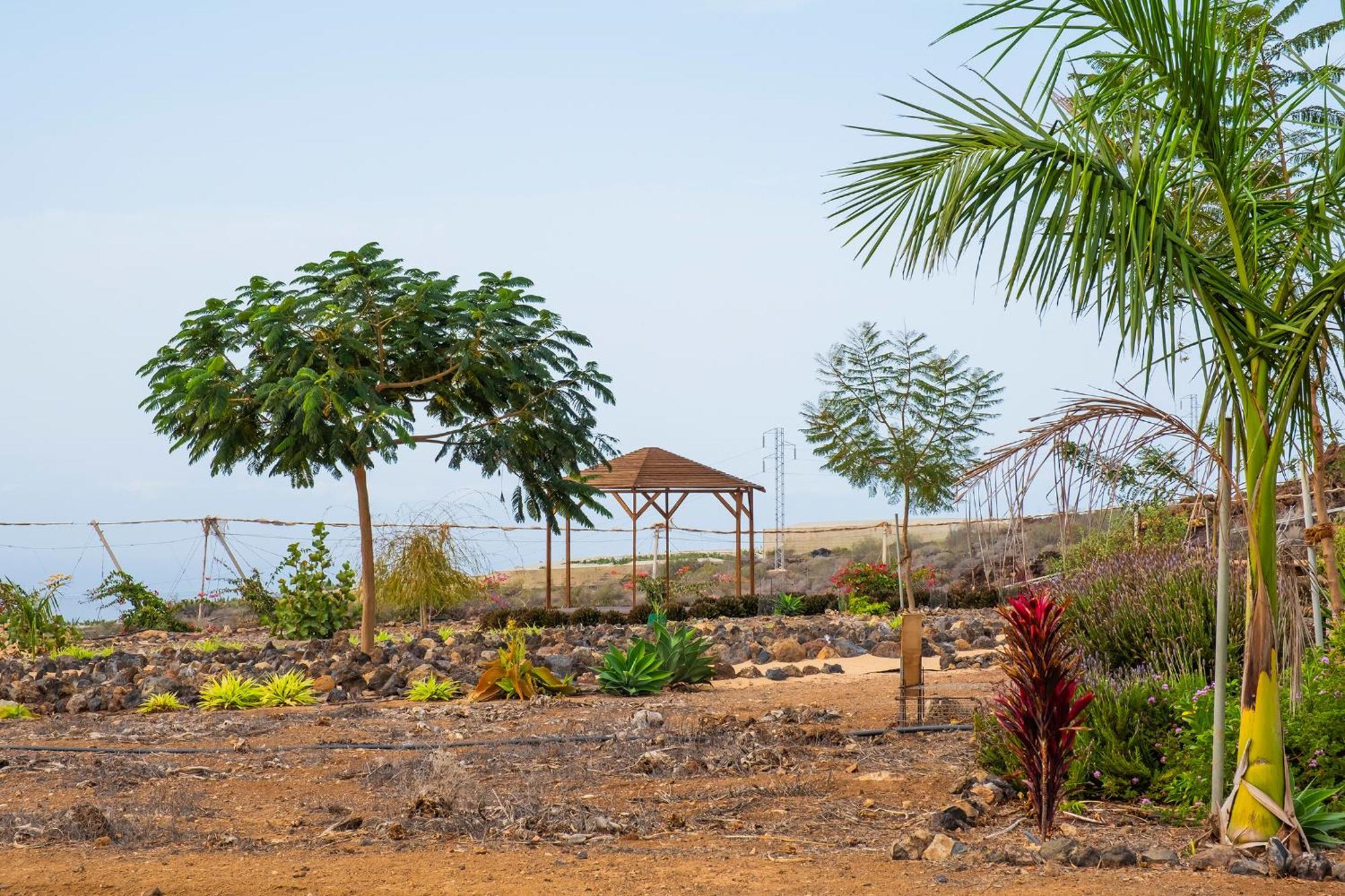 Tenerife Healing Garden Guia de Isora  Ngoại thất bức ảnh