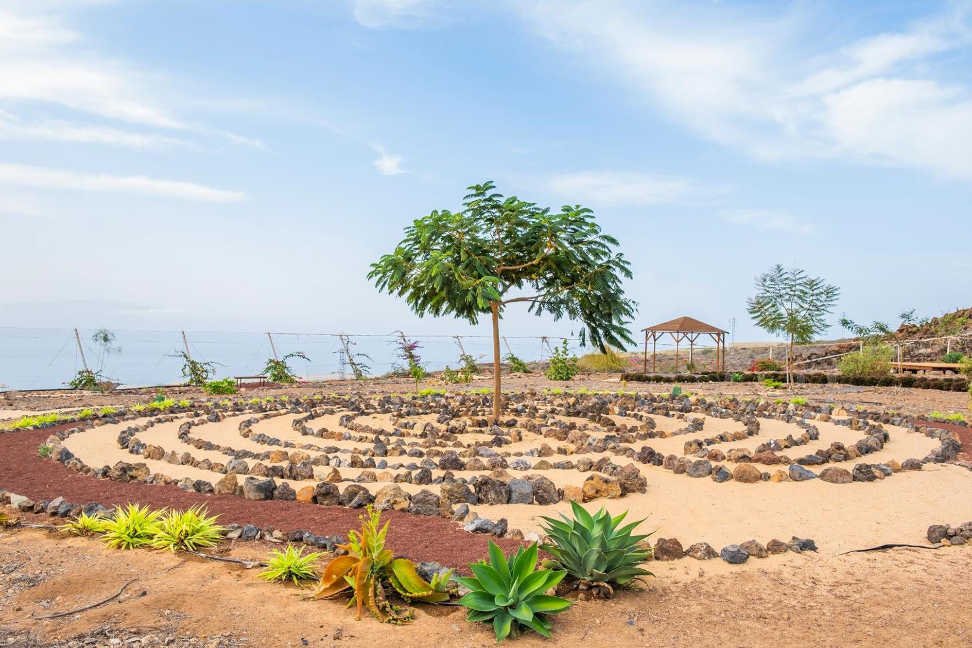 Tenerife Healing Garden Guia de Isora  Ngoại thất bức ảnh