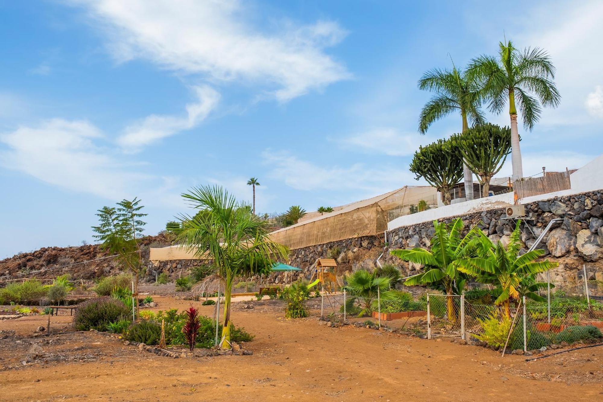 Tenerife Healing Garden Guia de Isora  Ngoại thất bức ảnh